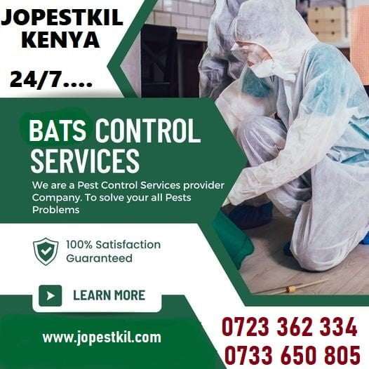 Bats Control Services in Kenya