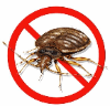 Bedbugs control