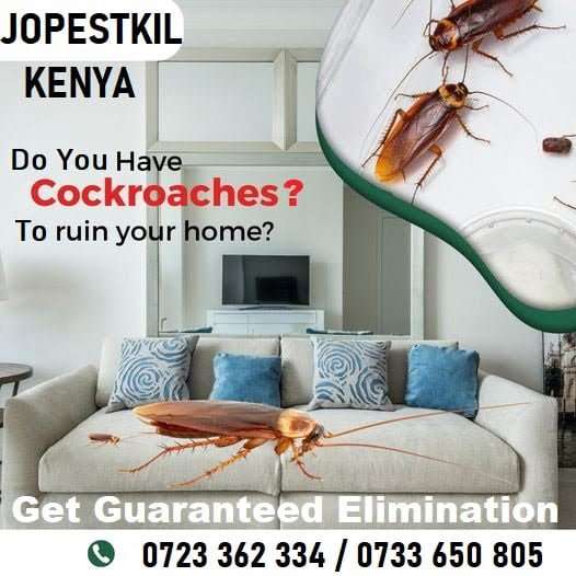 Cockroaches Control Services in Kenya