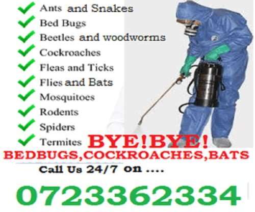 Fumigation & pest control in Kenya