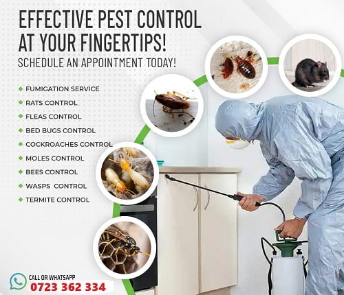 Fumigation & pest control services Kenya Nairobi