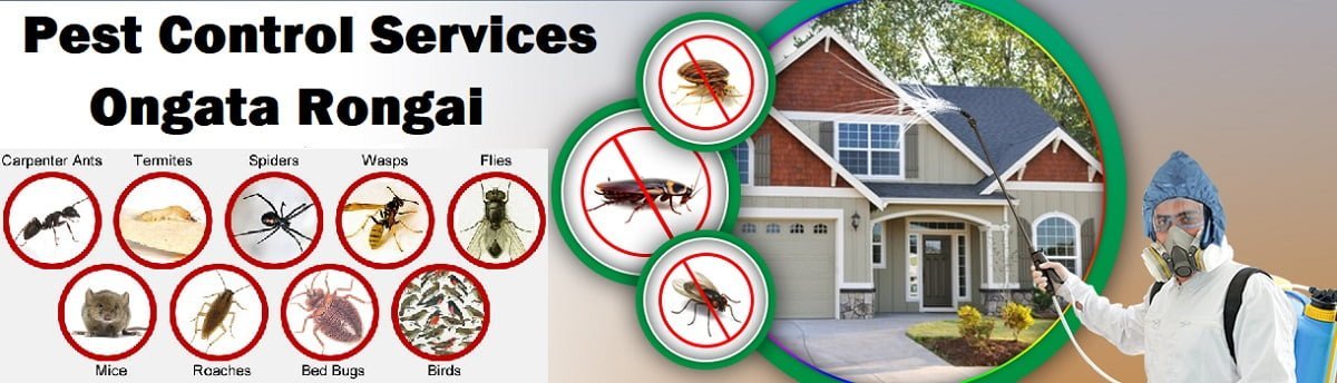 Fumigation & pest control services in Ongata Rongai