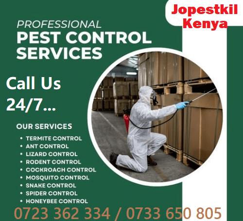 Best Fumigation & Pest Control Services Near Me Nairobi