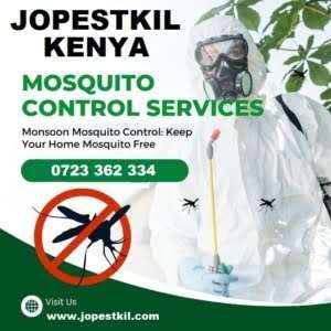Mosquitoes Control Services in Kenya