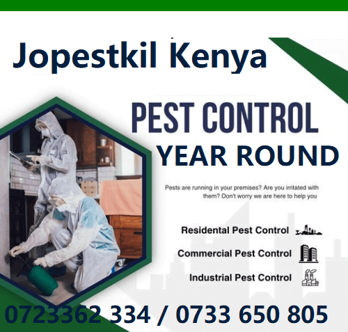 Pest control Kenya