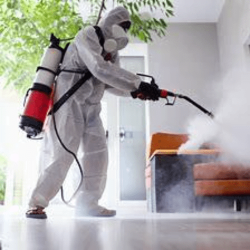 Professional commercial fumigation & pest control services