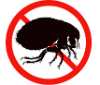 fleas control