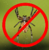spiders control
