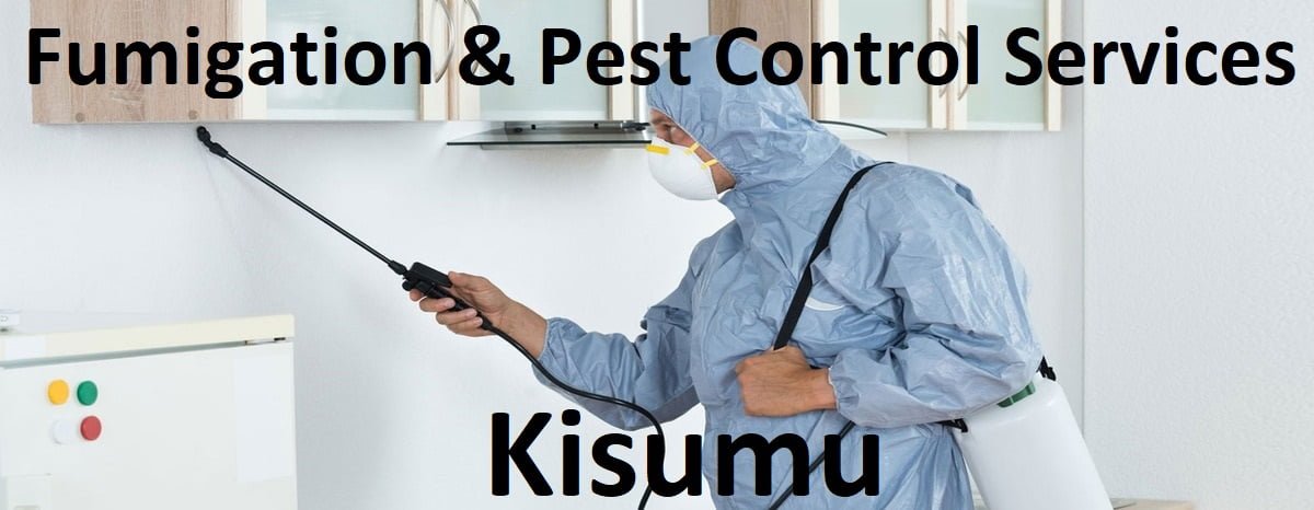 Fumigation and pest control services in Kisumu