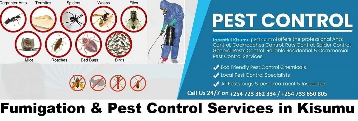Fumigation & pest control services company Kisumu