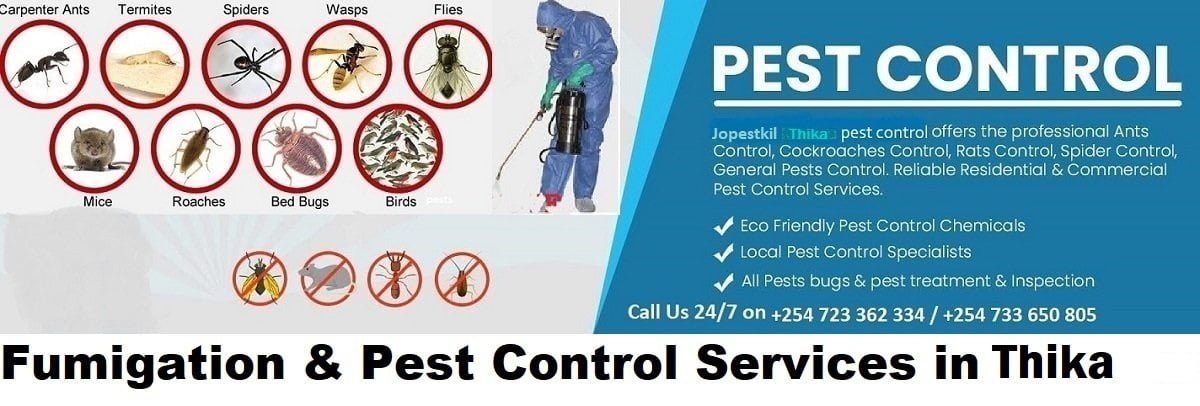 Fumigation & pest control services company Thika