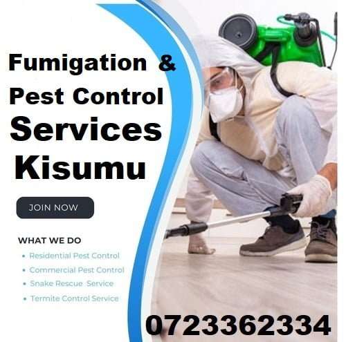 Fumigation & pest control services in Kisumu Fumigation & pest control services in Kisumu