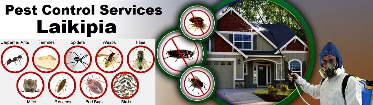 Fumigation & pest control services in Laikipia