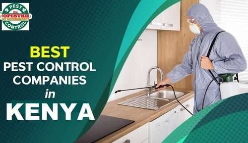 Top best fumigation & pest control companies in Kenya Top best fumigation & pest control companies in Kenya