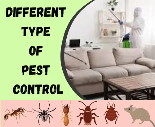 Different types of Pest Control in Kenya
