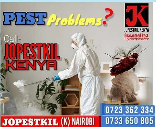 Guaranteed fumigation & pest control services in Nairobi Kenya