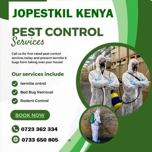 Pest control services Kenya
