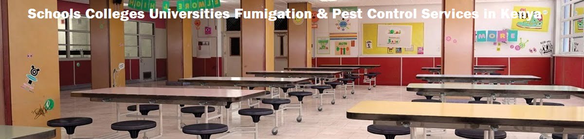 Schools Colleges Universities Fumigation & Pest Control Services in Kenya