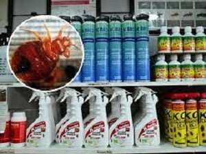 The Best Insecticides to Kill Bed Bugs in Kenya