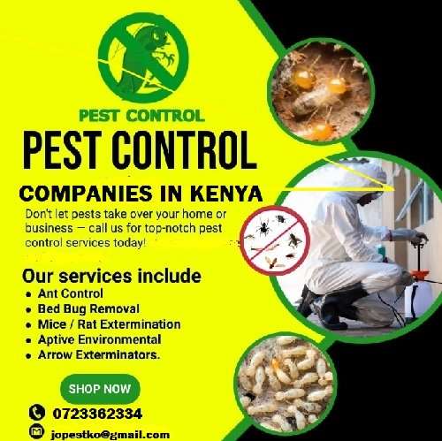 Best fumigation & pest control companies Kenya Best fumigation & pest control companies Kenya