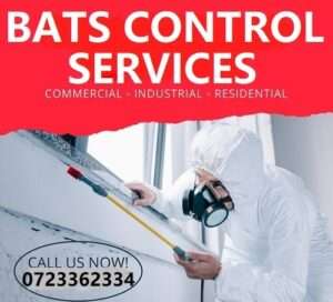 Bats control in Kenya