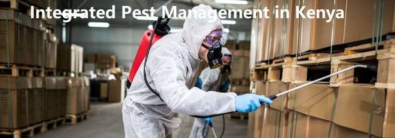 Integrated Pest Management in Kenya