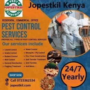 Professional fumigation & pest control services in Kenya Professional fumigation & pest control services in Kenya