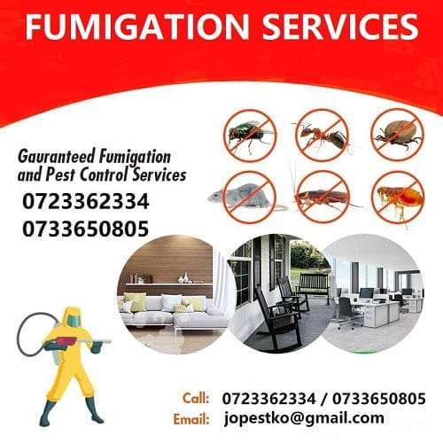 Fumigation services Kenya