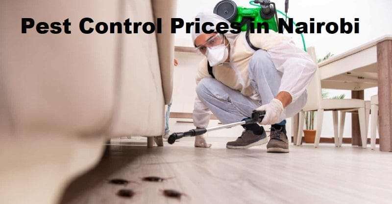 Pest control prices in Lamu
