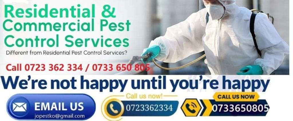 Residential & commercial fumigation pest control services in Kenya