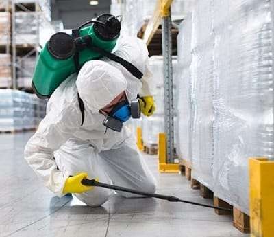 Best fumigation and pest control services in Kisumu Best fumigation and pest control services in Kisumu