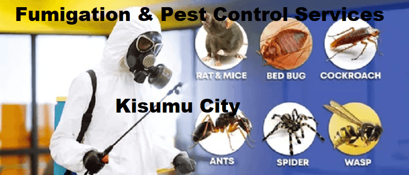 Fumigation and pest control services Kisumu Fumigation and pest control services Kisumu