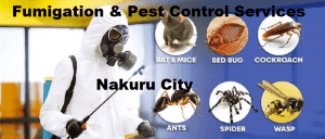 Fumigation and pest control services Nakuru Fumigation and pest control services Nakuru