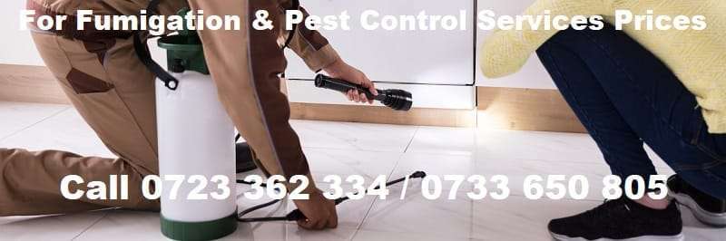 Fumigation-pest-control-services-prices-in-Kenya Fumigation-pest-control-services-prices-in-Kenya