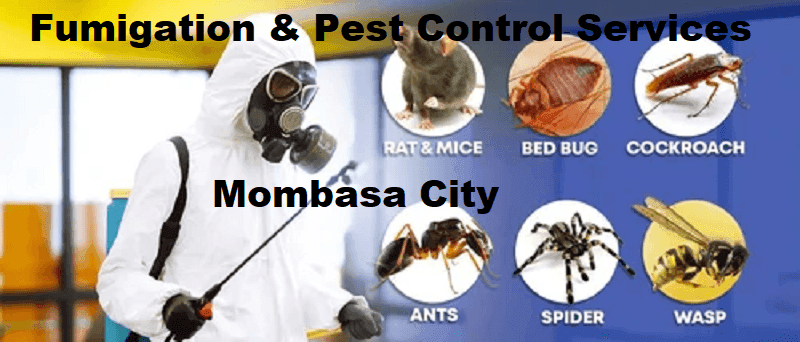 Fumigation & pest control services Mombasa Fumigation & pest control services Mombasa