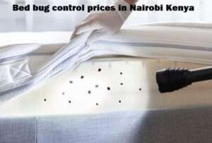 Bedbugs control prices in Nairobi Kenya Bedbugs control prices in Nairobi Kenya