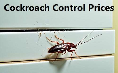 Cockroaches control prices in Nairobi Kenya