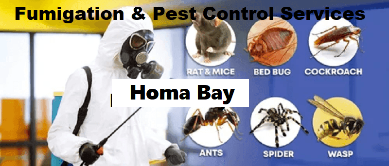 Fumigation & pest control services in Homa Bay