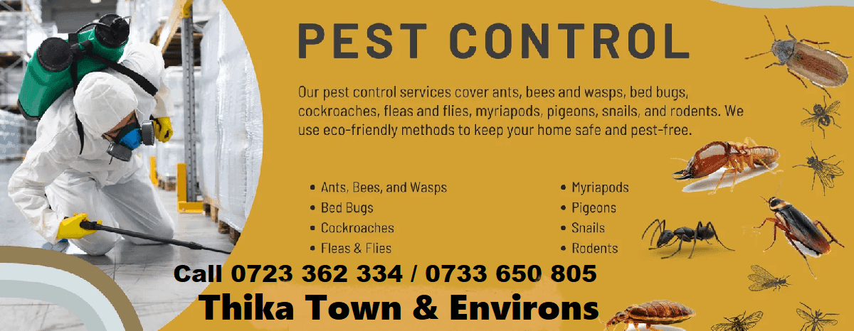 Fumigation pest control services Thika Fumigation-pest-control-services-Thika