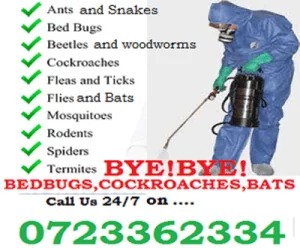 Pest control services in Karungu