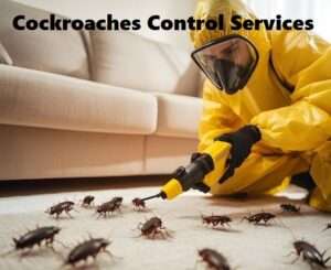 Cockroaches control services