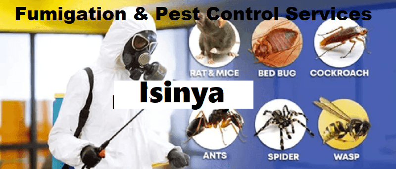 Fumigation & pest control services in Isinya