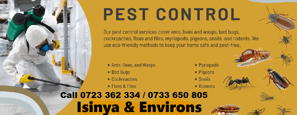Fumigation-pest-control-services-Isinya