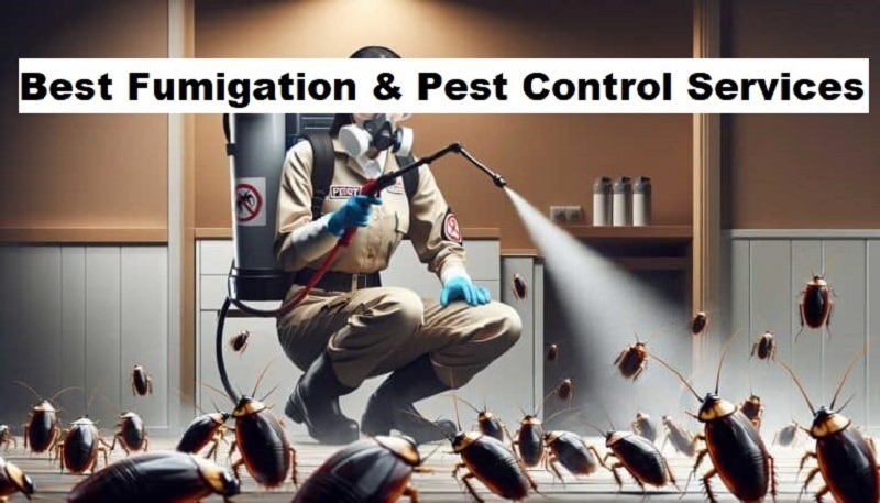 Best fumigation & pest control services