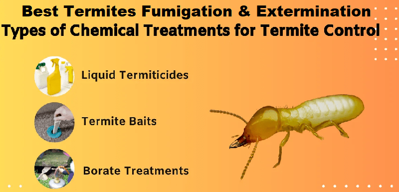 Termites control services