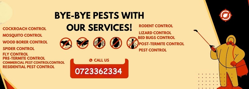 Watamu fumigation & Pest Control Services