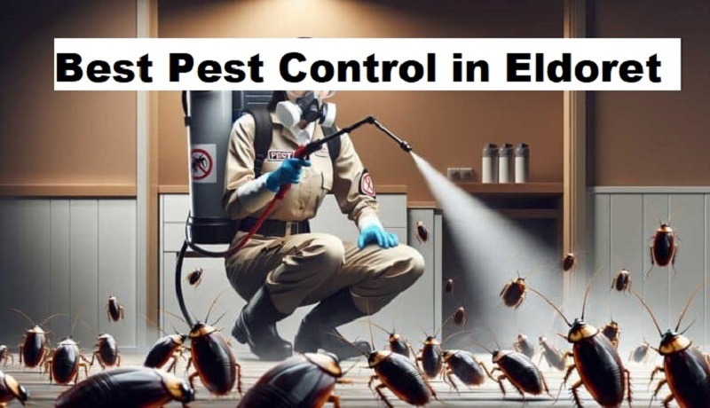 pest control in Eldoret pest control in Eldoret