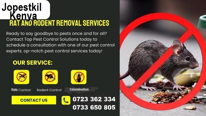 Rats control services
