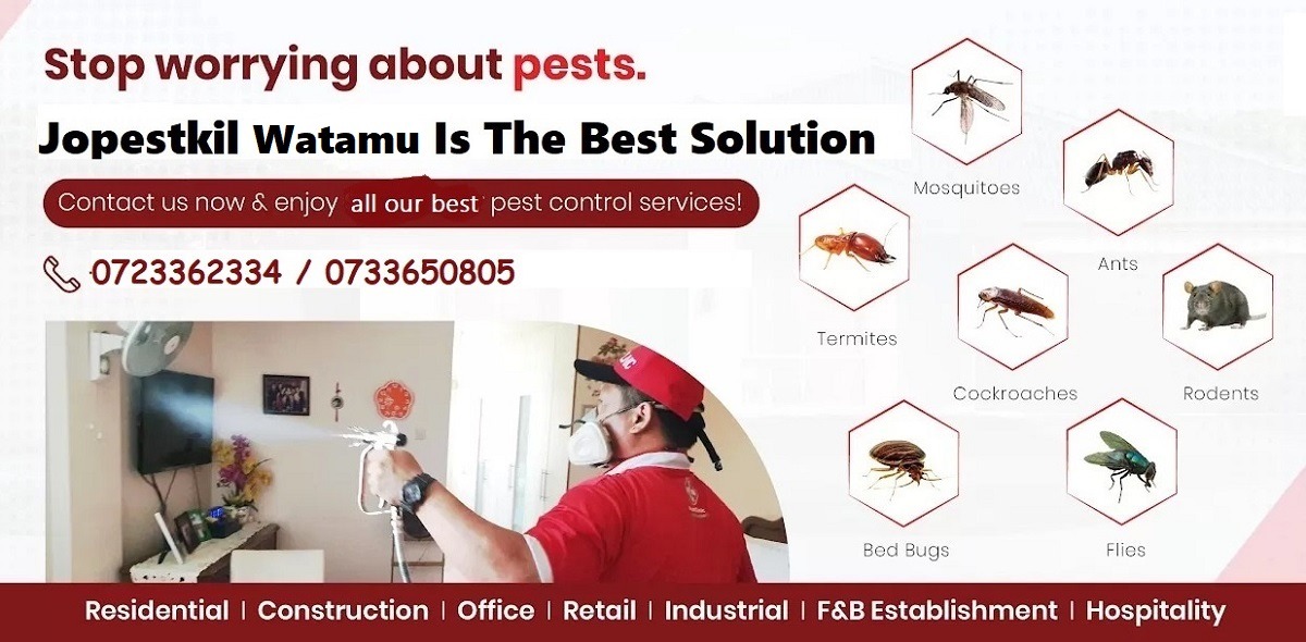Watamu fumigation & pest control services