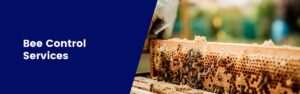 Bees control services